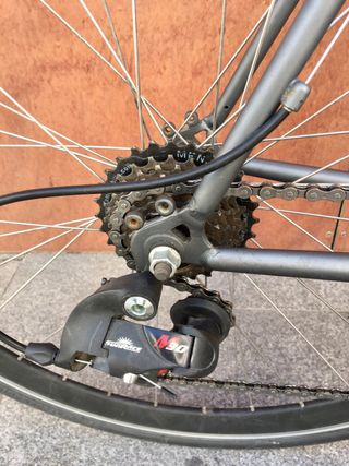 Bicicleta Urbana 7v / XL 59cm
