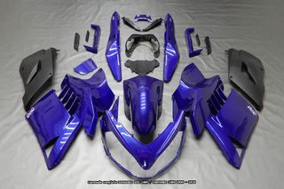Oferta especial Carenado KAWASAKI GTR 1400 2008 10