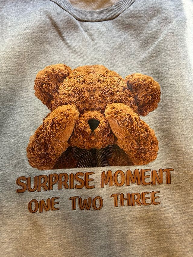 Sudadera gris con oso Surprise Moment