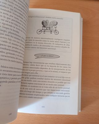 Inteligencia Emocional en la familia (Spanish E...