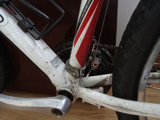 Bicicleta de Montaña Oiartzun 
