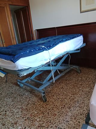 Cama geriátrica articulada