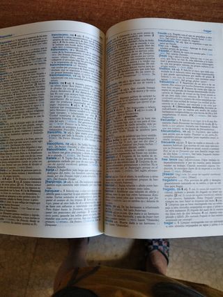 Diccionario Secundaria Y Bachillerato 2002