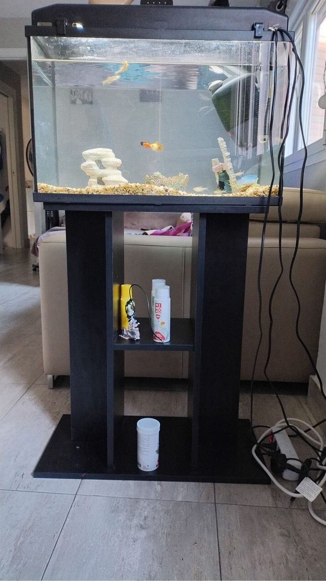 ACUARIO COMPLETO 65lts