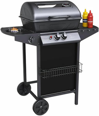 Barbecue a Gas e Pietra Lavica 2 Fuochi Bruciatori