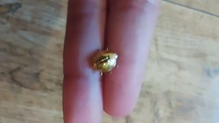 Pendiente escarabajo dorado