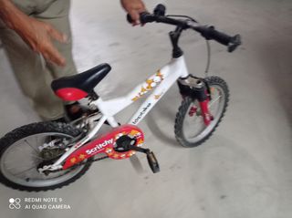 Bicicleta infantil Topbike y bicicleta grande amar