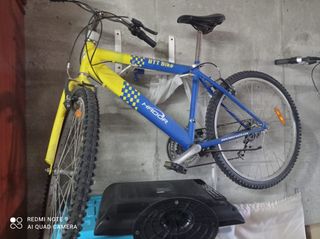 Bicicleta infantil Topbike y bicicleta grande amar