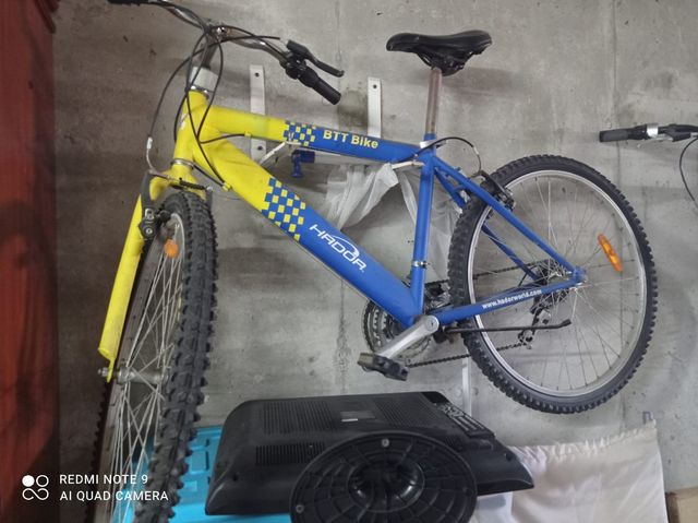 Bicicleta infantil Topbike y bicicleta grande amar