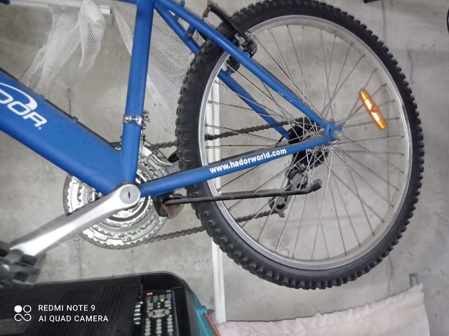 Bicicleta infantil Topbike y bicicleta grande amar