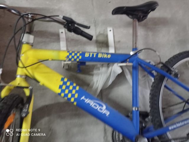 Bicicleta infantil Topbike y bicicleta grande amar