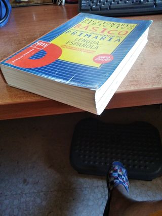 Diccionario básico de primaria