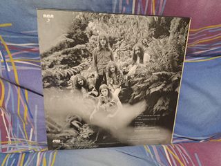 Gnidrolog Lady Lake 4 Men With Beards nuovo