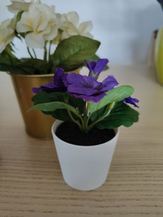 6 Flores Decoración con Macetas o cubo