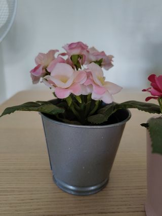6 Flores Decoración con Macetas o cubo
