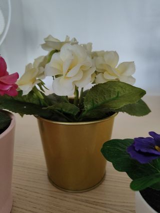 6 Flores Decoración con Macetas o cubo