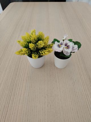 6 Flores Decoración con Macetas o cubo