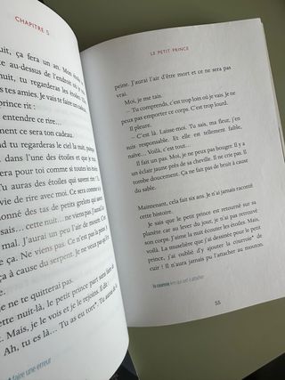 Le petit prince - libro en frances