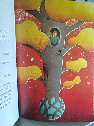 Le petit prince - libro en frances