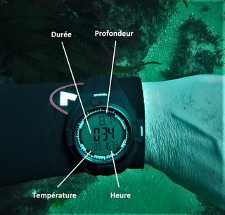 Reloj Buceo Apnea Pesca Submarina DiVONEA