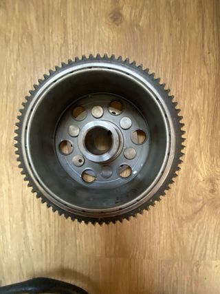 Estator y Volante Magnético Rotax 122