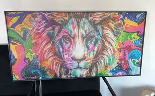 Cuadro León Multicolor