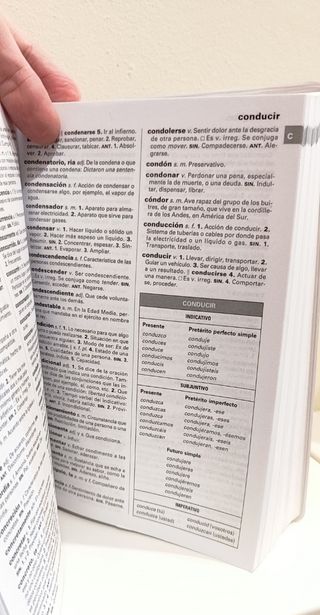 DICCIONARIO SANTILLANA LENGUA ESPAÑOLA 