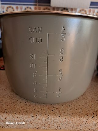 Olla programable GM Modelo D.