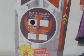 Costume Anna Frozen II Deluxe Bambina