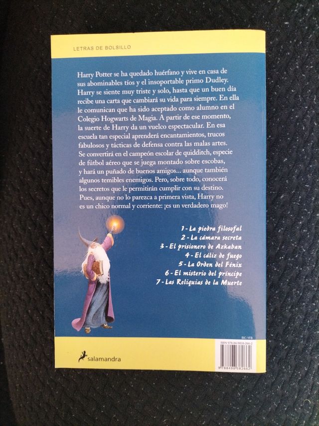 Harry Potter y la piedra filosofal (Harry Potte...