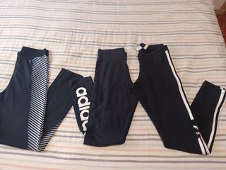 Lote Leggings niña