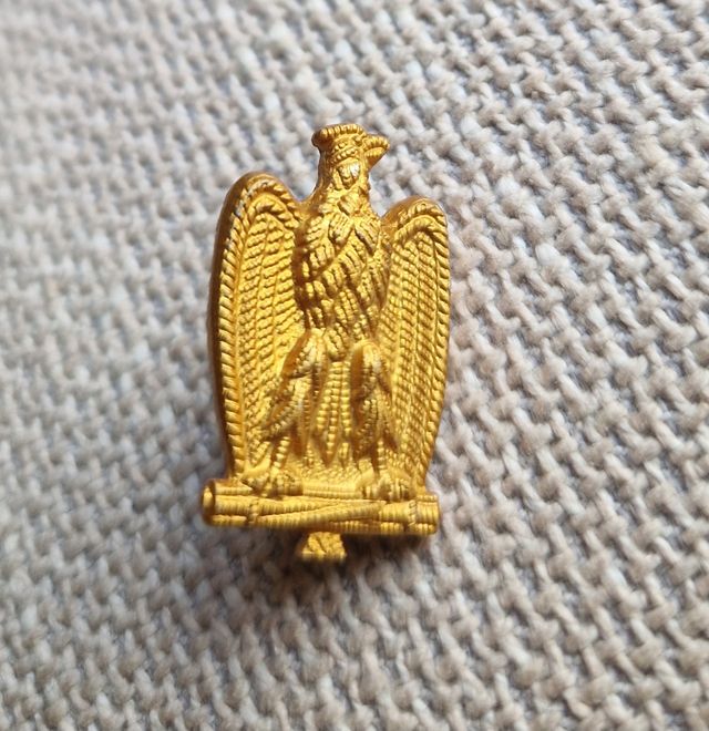 Spilla Distintivo Fascismo Fascista Divisa PNF