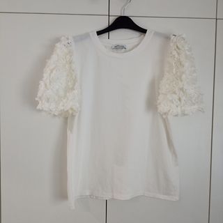 Camiseta Totó  M 