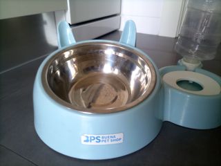 Comedero/Bebedero Gatos con Dispensador Agua