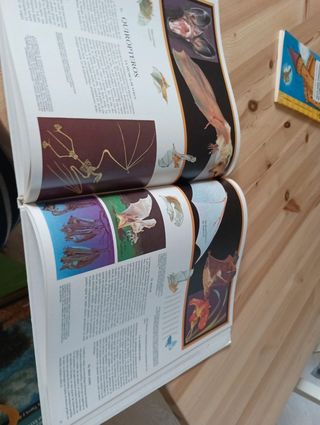 Historia de la vida sobre la tierra.t.6.mamifer...