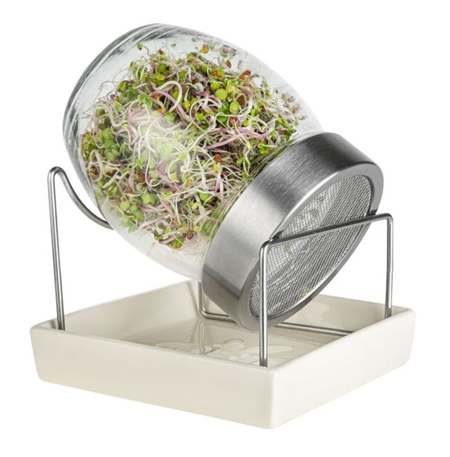 Germinador GEO con bandeja