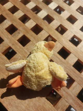 Pulcino giallo peluche Trudy