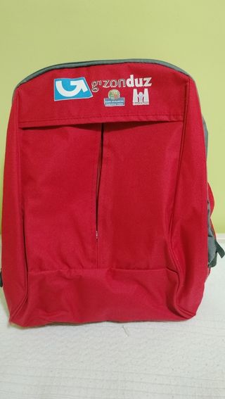 Lote mochilas y bolsos nevera