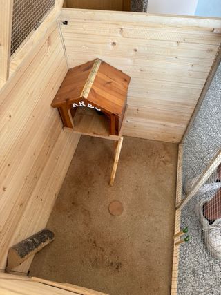 Gabbia per conoglio nano domestico in legno e rete