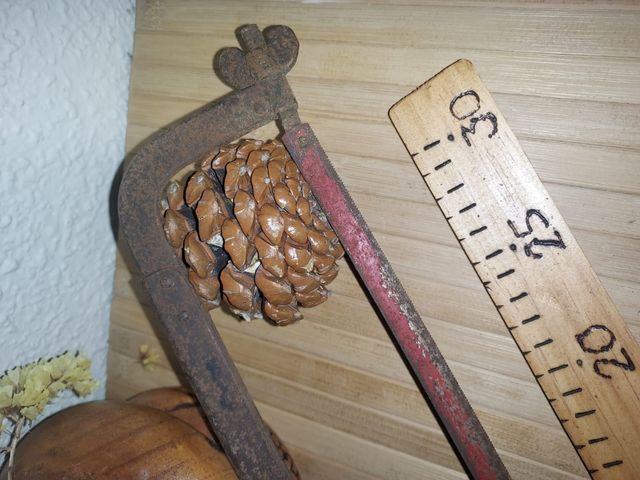 Vecchia sega da taglio