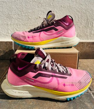 Nike Pegasus Trail 4 Gore-Tex Rosa/Morado