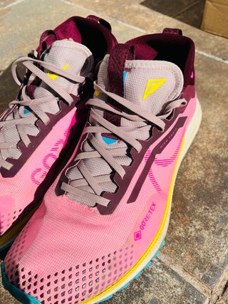 Nike Pegasus Trail 4 Gore-Tex Rosa/Morado