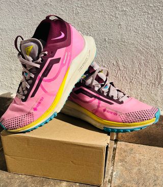 Nike Pegasus Trail 4 Gore-Tex Rosa/Morado