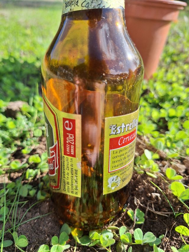 Botella Estrella Galicia año 1999