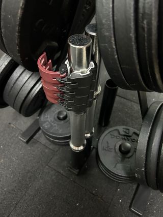 Mancuernas de gimnasio con discos