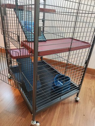 Jaula para hurones con accesorios