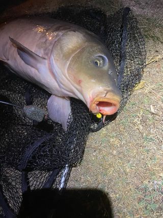 10 Bolsas PVA para pesca