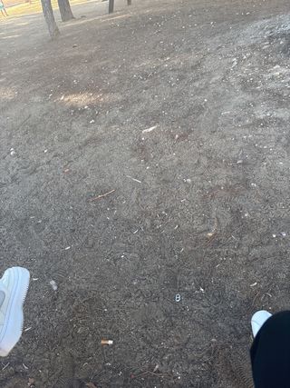 limpieza