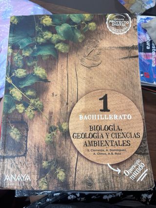 Biología y Geología, Física y Química y Matemática