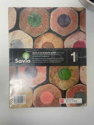 Matemáticas. 1 ESO. Savia